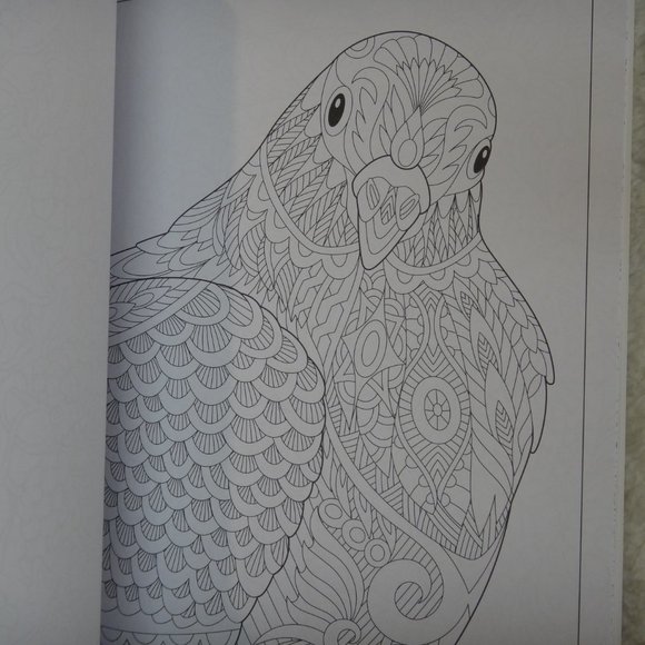 ZEN COLORING BOOK INSPIRED DESIGNS APPROX 60 PAGES - Picture 4 of 8